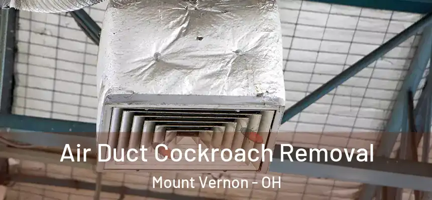  Air Duct Cockroach Removal Mount Vernon - OH