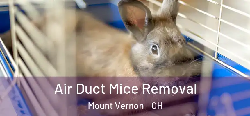  Air Duct Mice Removal Mount Vernon - OH