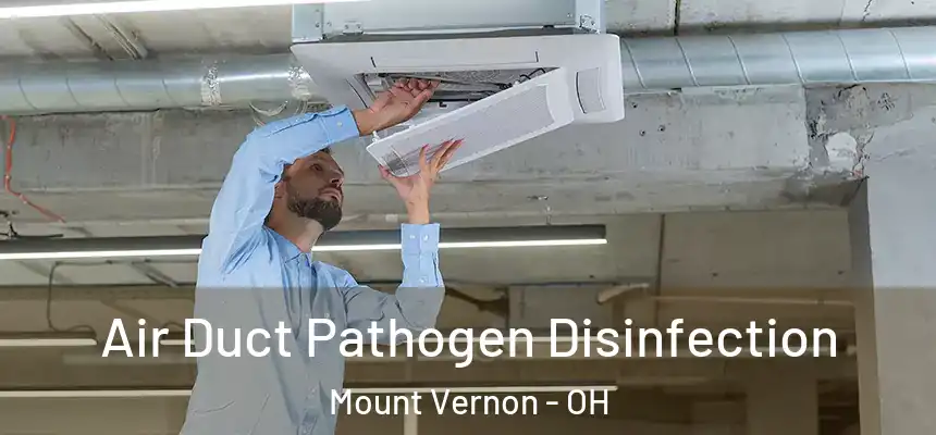  Air Duct Pathogen Disinfection Mount Vernon - OH