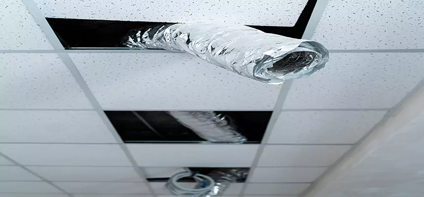 Our Air Duct Pet Hair Removal Services in Mount Vernon, OH