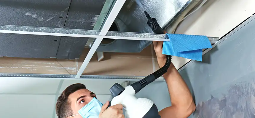 Our Air Duct Rodent Removal Services in Mount Vernon, OH