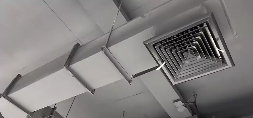 Our Pest Removal From Ducts Services in Mount Vernon, OH