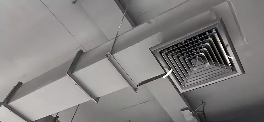 Our Rodent Droppings In Vents Services in Mount Vernon, OH